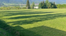 PL: LKS ZOR Frydman. 2024-05-04